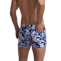 Pantalones cortos de playa de verano para hombre, tabla de natación, traje de baño corto Gailang, ropa a juego, pantalones de surf, trajes de baño Sunga Masculina, pantalones cortos para el hogar - details 10