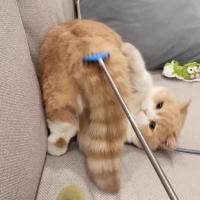 Varita retráctil para gatos 3 en 1 Pro: poste extensible de masaje con plumas arrugadas para juegos interactivos/autodescanso - details 2