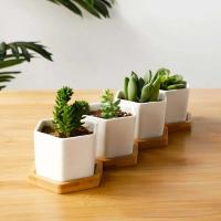 Bandeja de cerámica hexagonal blanca simple europea ETA, contenedor de plantas jugosas, bonsai pequeño ETA - details 2