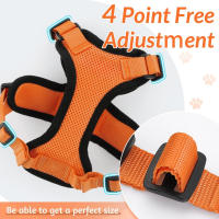 Arnés y correa para gatos para caminar, arneses de chaleco ajustables suaves a prueba de escapes para gatos, chaqueta con tiras reflectantes transpirables de fácil control, - details 3