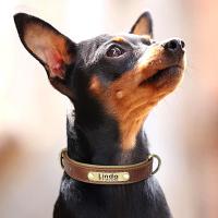 Collar de Cuero Personalizado para Perros Suave y Almohadilla Placa de Identificación de Mascota - details 15