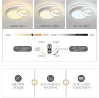 Goeco Lámpara de techo LED moderna blanca 50W Acrílico Redondo Luz fría Montaje semi-flush - details 3