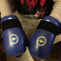 1 Juego de protectores de tobillo y pie para Taekwondo, protectores de manos, guantes para botas Kickbo, equipo de combate para artes marciales ITF, Karate - details 1