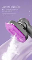Vaporizadores de ropa de mano, prensa colgante pequeña, 220V, 26w, 60ML - details 2