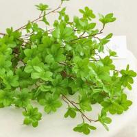 Reloj colgante Artificial grande, ramas de plástico hechas a mano, plantas artificiales de Pierisjaponica, plantas falsas realistas - details 1