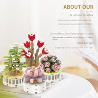 Construcción de suculentas para niños, decoración de escritorio, ramo eterno, flor de bloque, juguete educativo, modelo de plantas en maceta - details 5
