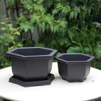 Tren simular planta jugosa bonsai plástico ETA, jardín exterior PAISE bandeja cuadrada ETA - details 8