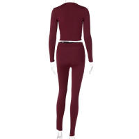Conjunto deportivo de dos piezas de manga larga, nuevo traje informal de moda para mujer - details 120