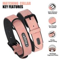 Juego Collar identificación perro cuero personalizado, correa plomo para perros pequeños, medianos y grandes, Pugs de Bulldog - details 7