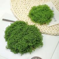 Mini Grass Country, musgo verde Artificial eterno, manualidades caseras, sala de estar, jardín, decoración de plantas, 30/50/100g - details 6