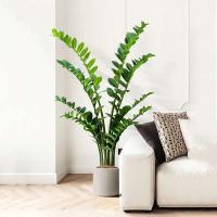 Higo: ramas de plantas artificiales, hojas de plástico falsas de dinero, árbol de banyan verde para el hogar, dormitorio, decoración de tienda de jardín - details 1