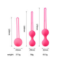 Bola inteligente con mancuernas genitales femeninas, masaje vaginal femenino, productos sexuales para adultos - details 0