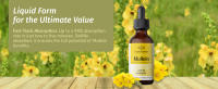 mullein tincture