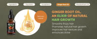 Batana Oil Organic for Hair Growth