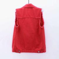 Chaleco Sin Mangas de Moda para Mujer Primavera-Otoño 2025 Chaleco Cowboy de Un solo Pecho Estilo Coreano Dulce y Corto - details 36