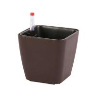 Flores resistentes a la intemperie en espacios pequeños ETA, autoirrigación duradera ETA S Beauty para plantas de jardín - details 8