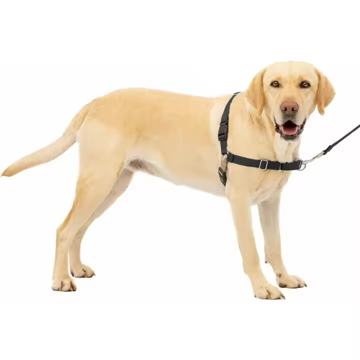 Arnés Antitirones para Perros, Adiestramiento de Perros, Evita Asfixia, Negro, Grande, L - 1