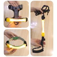 Collar brillante de seguridad para perros Resistente al agua, multicolor con luz LED intermitente - details 3