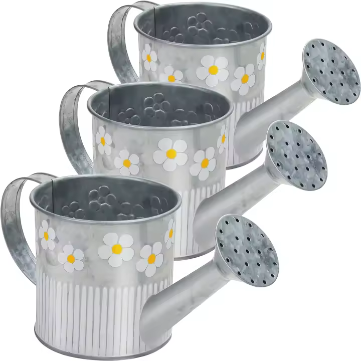 Regadera Decorativa de Metal Plateado (Conjunto de 3) - Regadera Vintage Galvanizada de 550 ML con Asa y Pico Vertedor - 1