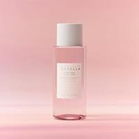poremizing toner