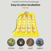 Incubadora automática de huevos de plástico para aves, bandejas de máquina para incubar huevos de aves de corral, pato y pollo con Motor de giro automático, 220V - details 12