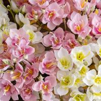 Ramo de narcisos artificiales de tacto Real, flor de narciso de seda hecha a mano de lujo, flor falsa elegante, decoración de jardín al aire libre - details 12