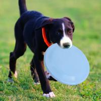 Pet Dog Flying Disk Toy Funny Silicone Resistant Chew Game Puppy Training Interactive Supplies Anti-bite Throwing Toys Perros - details 7