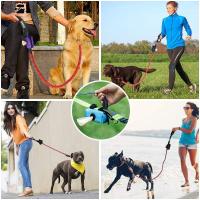 Dispensador de Bolsas para Residuos de Mascotas Portátil Organizador de Bolsas de Basura para Perros, Gatos, Conejos Ideal para Viajes al Aire Libre - details 2