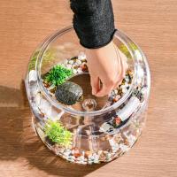 Macetero hidropónico, jarrón redondo transparente para pecera, tanque de tortuga de escritorio irrompible de plástico con cubierta, pecera dorada para el hogar - details 3