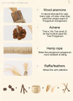 HOOPET-Palo de poligono de madera para gato, palo Molar de hierba gatera, palo de Limpieza de dientes, suministros para mascotas, Juguetes - details 6