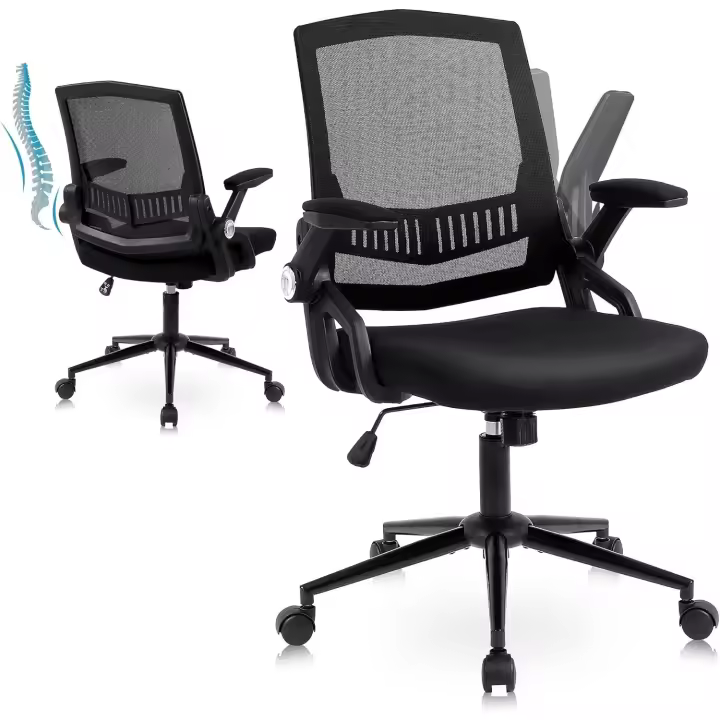 Silla de Escritorio Ergonómica Silla de Oficina con Respaldar Abatible - 1