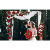 red roses