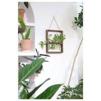 Plantas colgantes montadas en la pared, tubo de ensayo, flor, brote, Terrario de vidrio, marco de madera para el hogar, jardín, decoración de boda - details 5