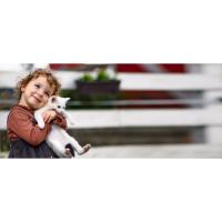Faroro Comedero Automático para Gatos de 4L, Dispensador de Comida para Perros y Gatos, Tazón para Gatos de Acero Inoxidable y Temporizador, Programable de 1 a 6 Comidas, Blanco - details 0