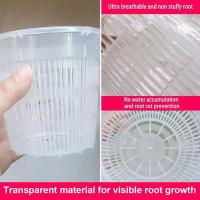 Macetas de orquídeas de plástico transparente para flores, lavabo transpirable, macetas de orquídeas, Control de raíces, maceta de escritorio transparente - details 12