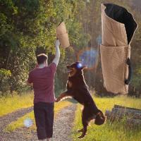 Manga duradera para mordedura de perro, protección profesional para el brazo, palo para mordedura de perro, equipo de entrenamiento práctico y grueso para mordeduras de mascotas - details 2