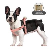 Juego correa personalizados, arnés cuero PU perros, hebilla de identificación grabada gratis para perros pequeños, medianos y - details 9