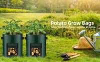 Paquete de 8 bolsas de cultivo de 10 galones, macetas duraderas de tela de PE con solapa y asas, bolsas verdes para patatas, verduras, flores, hierbas, jardín al aire libre, 35 * 45 cm de gran tamaño para todas las plantas que crecen - details 0