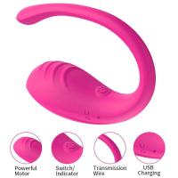 Vibradores con aplicación Bluetooth para mujer, estimulación del clítoris, huevo vibrador, punto G, masajeador Anal, Juguetes sexuales, bragas, bolas usables - details 5