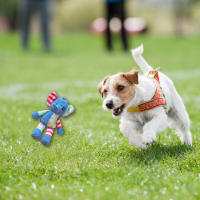 Juguete de Dentición de Peluche para Perros Estilo Zorro Elefante Ideal para Mascotas Aggressivas - details 1