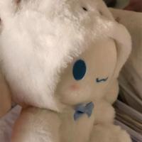 25CM Sanrio peluche Hello Kitty Cinnamoroll Kuromi Pochacco muñeco de peluche dibujos animados lindos juguetes niños regalos de cumpleaños - details 2