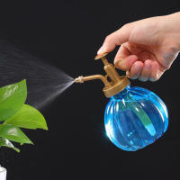Botella de Agua de Presión para Riego de Plantas Herramienta de Jardín Adecuada para Succulentas Cactus y Plantas de Aire Hecha en China - details 4