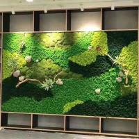Plantas verdes artificiales, hierba de musgo, mini campo, manualidades DIY, hierba inmortal falsa para decoración de jardín, hogar y hotel, - details 3