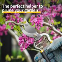 Tijeras De Poda Deli De 8.5 Pulgadas Herramienta De Jardín Para Bonsái Y Metal Escarabajo De Mano Herramienta De Poda - details 3