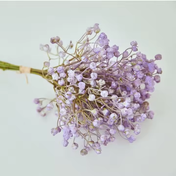 Flor Artificial Multicolor Babysbreath, accesorios DIY, simulación de Gypsophila, adorno de escritorio de plástico, ramo de novia - 1