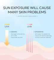 Laikou Sakura crema blanqueadora Protector solar coreano bloqueador solar Facial Spf50 loción de aislamiento blanqueador hidratante 30g - details 3