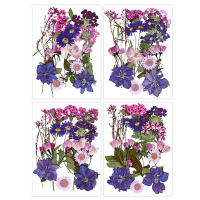 Flores secas, planta Natural Real, flor prensada para relleno de resina epoxi, manualidades para decoración de uñas, artesanía para hacer joyas - details 1