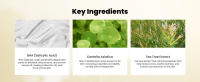 key ingredients