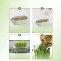 Taza de Crecimiento Hidropónica de Alta Calidad para Mascotas, Taza de Cultivo Hidropónico - details 4