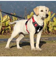 Traje de arnés de nylon para perros grandes Reflejante de luz, ajustable, seguro para paseos al aire libre - details 10
